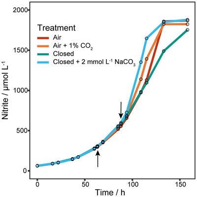 Analysis of biomass productivity and physiology of Nitrososphaera viennensis grown in continuous culture